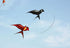 free shipping 2pcs/lot pole swallow kite flying traditional kites for adults kite line dragon kite factory ikite air snakes kite