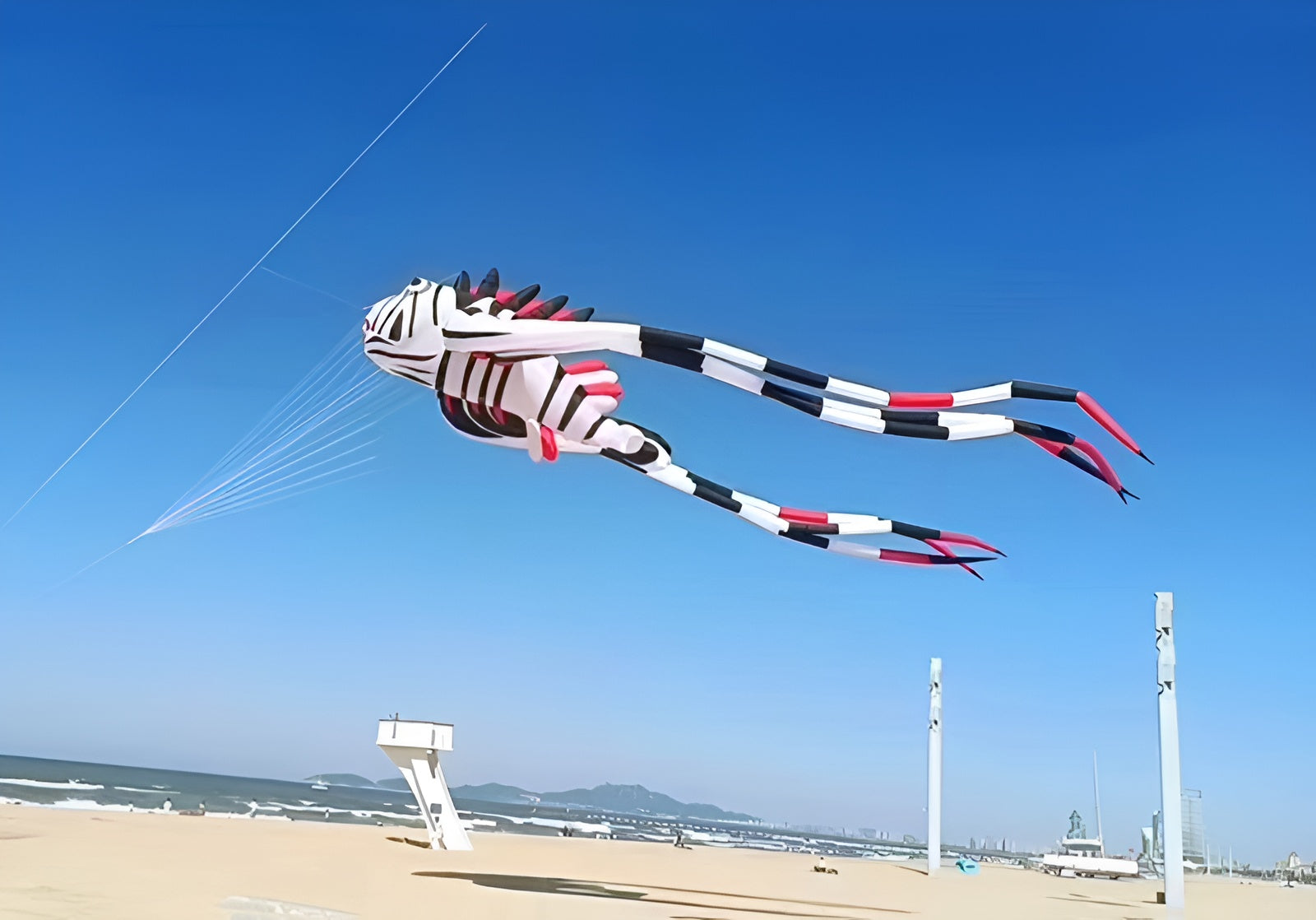 Free Shipping new kites pendant kites shows flying fish kites windsocks Inflatables kites octopus kites trilobites kites factory