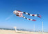 Free Shipping new kites pendant kites shows flying fish kites windsocks Inflatables kites octopus kites trilobites kites factory