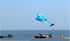 free shipping large soft kite dolphin kite nylon kite line animated kites flying inflatable kite reel outdoor fun toys Parafoil