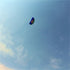 free shipping new beginner dual Line Stunt power Kite beach kite Parafoil kite surf fly outdoor fun sports kites flying ikite