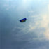 free shipping new beginner dual Line Stunt power Kite beach kite Parafoil kite surf fly outdoor fun sports kites flying ikite