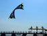 Free Shipping Freilein kites flying stunt kites quad line kites for adults kite reel outdoor toys Smoking sports kite Power kite