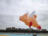 Free Shipping inflatable kites show giant kite pendant pig kites flying toys for adults kites reel large outdoor games soft kite