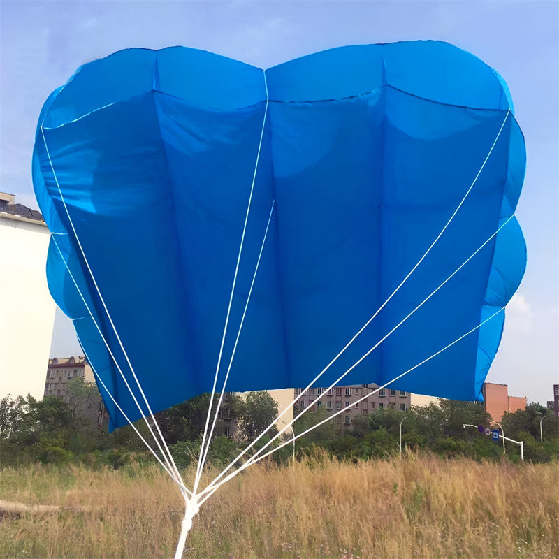 Free Shipping Large Kites flying 24sqm pilot kites flying octopus kites 12 sqm kites winds professional kites for kids outdoor