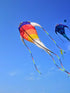 free shipping sea monster kite flying outdoor fun toys fish kites buggy kite board hobbies kite fabric giant kites kevlar line