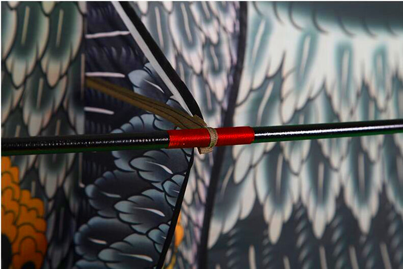 free shipping 10pcs/lot eagle kite wholesale factory weifang kite ripstop nylon fabric flying bird kites for adults professional