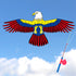 free shipping PE mini kites flying for children kite line 3d kite pocket kite for kids fishing rod dynamic wing eagle kite toys