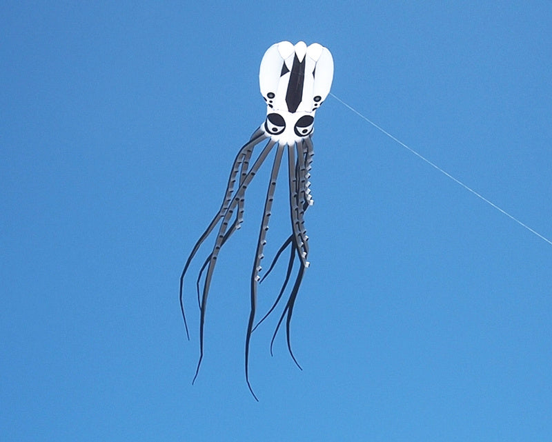 free shipping octopus kite inflatable kite flying nylon soft kites for adults professional kites factory equipment giant kites