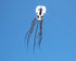 free shipping octopus kite inflatable kite flying nylon soft kites for adults professional kites factory equipment giant kites