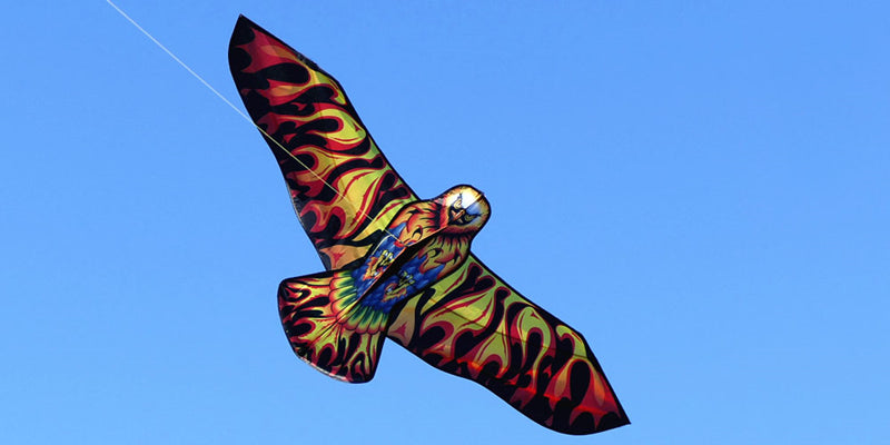 free shipping firebird kite flying children eagle kite toys nylon kites birds kites parachute indonesia line for kite paracaida