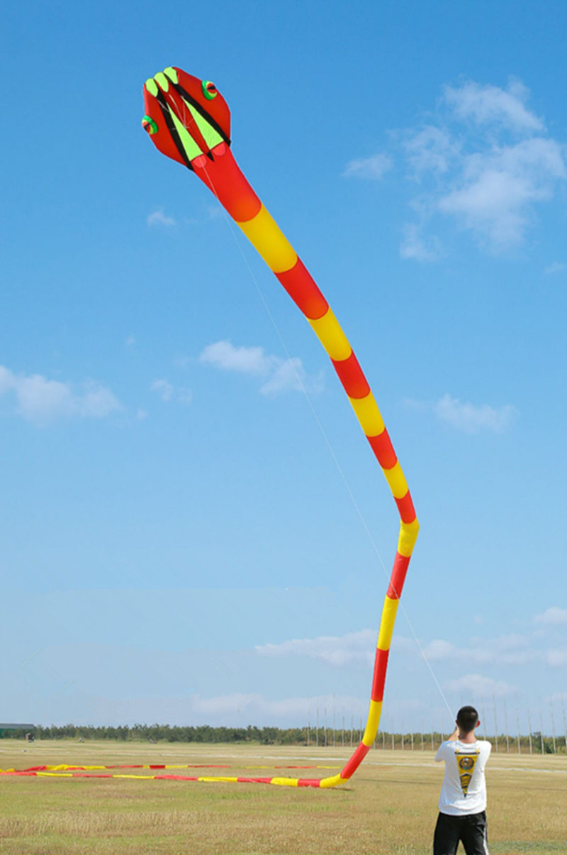 free shipping 3d kites flying snake kites for adults kites parachute inflatable kite dragon flight kite windsurfing professional