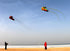 free shipping trilobites kite flying for adults kites inflatable professional kites octopus kite ikite jellyfish soft kites koi