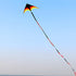 free shipping large kite tails flying kite windsocks kites rainbow tail kite for kids snake rip stop for kite novelty toy
