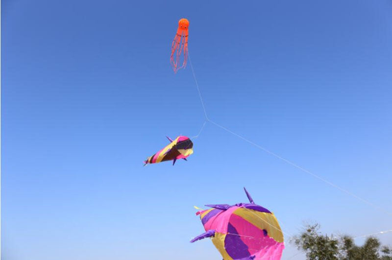 free shipping large kite windsocks kite tails ripstop nylon fabric inflatable kite accessories 3d kite pendant kite trilobites