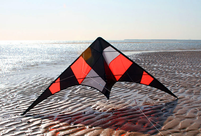 free shipping Freilein kite Factory dual line stunt kite flying professional wind kites for adults reel parapent voar pipe koi