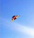 free shipping 4m glider kites for adults kites flying reel professional wind kites paraglider wing outdoor toys weifang kites
