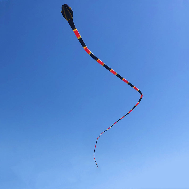 Free shipping snake soft kites professional kites for adults kite flying steering kites inflatable kite large kite flying kevlar
