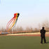 Free Shipping 13color Big Octopus Kite 8m Large Single Line Soft Inflatable Kite 30D Ripstop Polyester Fabric with Bag