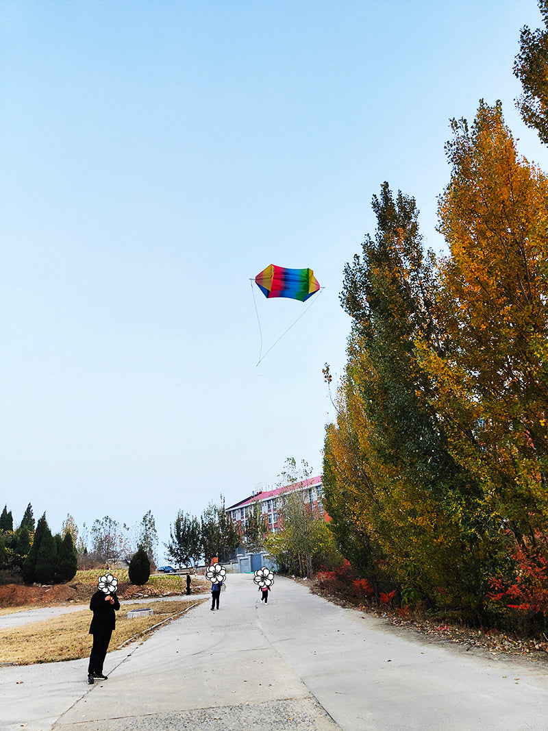 free shipping 10pcs rotating kites PE fabric kites flying toys for kids kites 3d kites snake kites wholesale factory ikite cerf