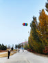free shipping 10pcs rotating kites PE fabric kites flying toys for kids kites 3d kites snake kites wholesale factory ikite cerf