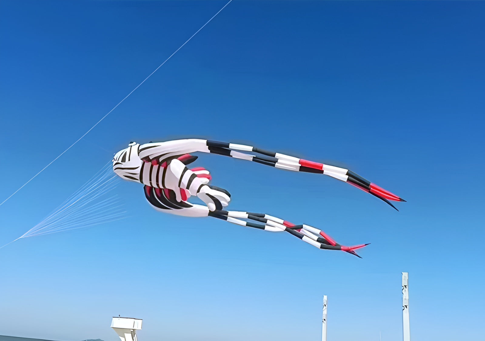 Free Shipping new kites pendant kites shows flying fish kites windsocks Inflatables kites octopus kites trilobites kites factory