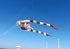 Free Shipping new kites pendant kites shows flying fish kites windsocks Inflatables kites octopus kites trilobites kites factory