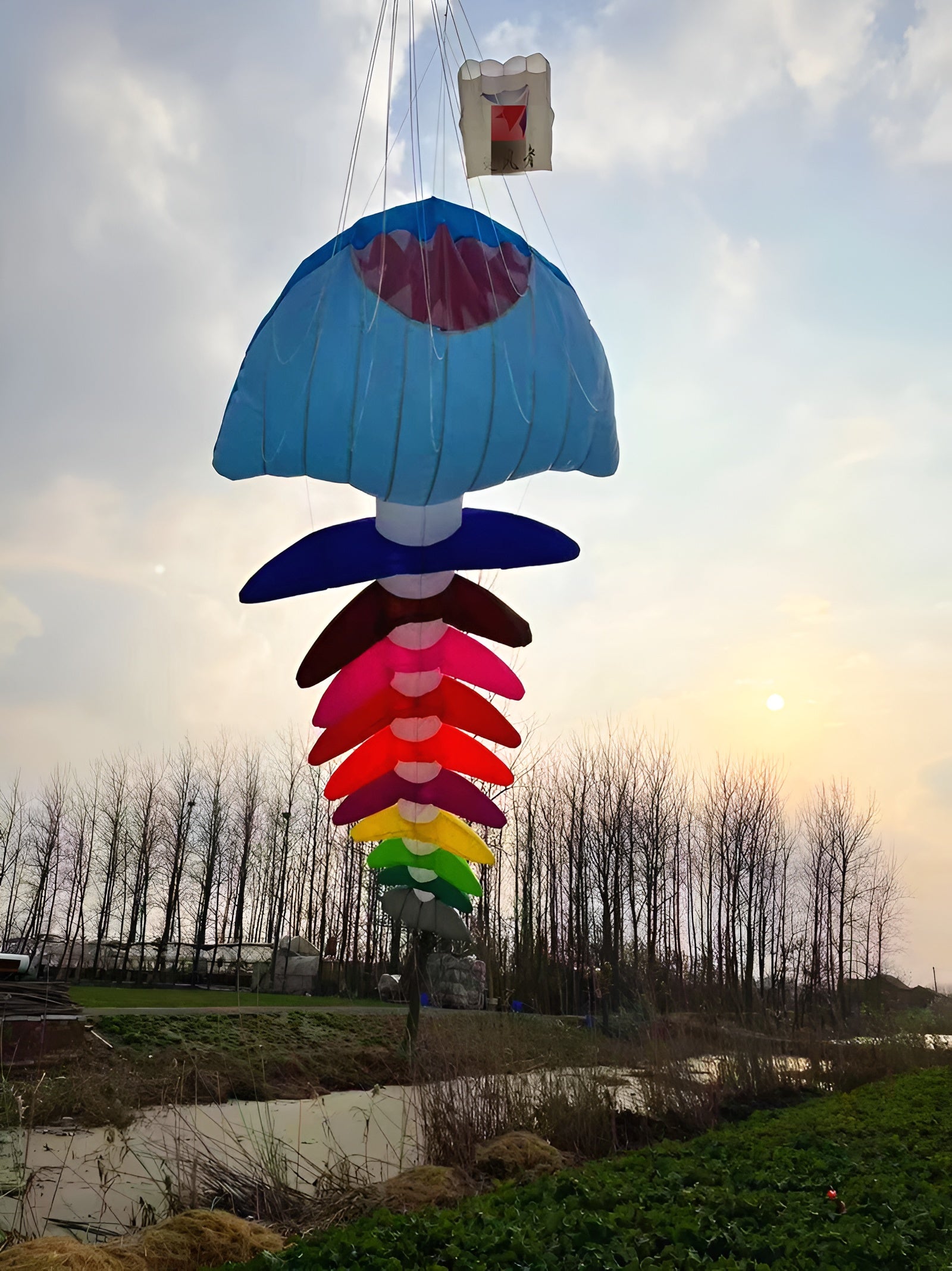 Free shipping fishbone soft kites pendant flying fish kites for adults inflatable show kites cometas de viento wind sock