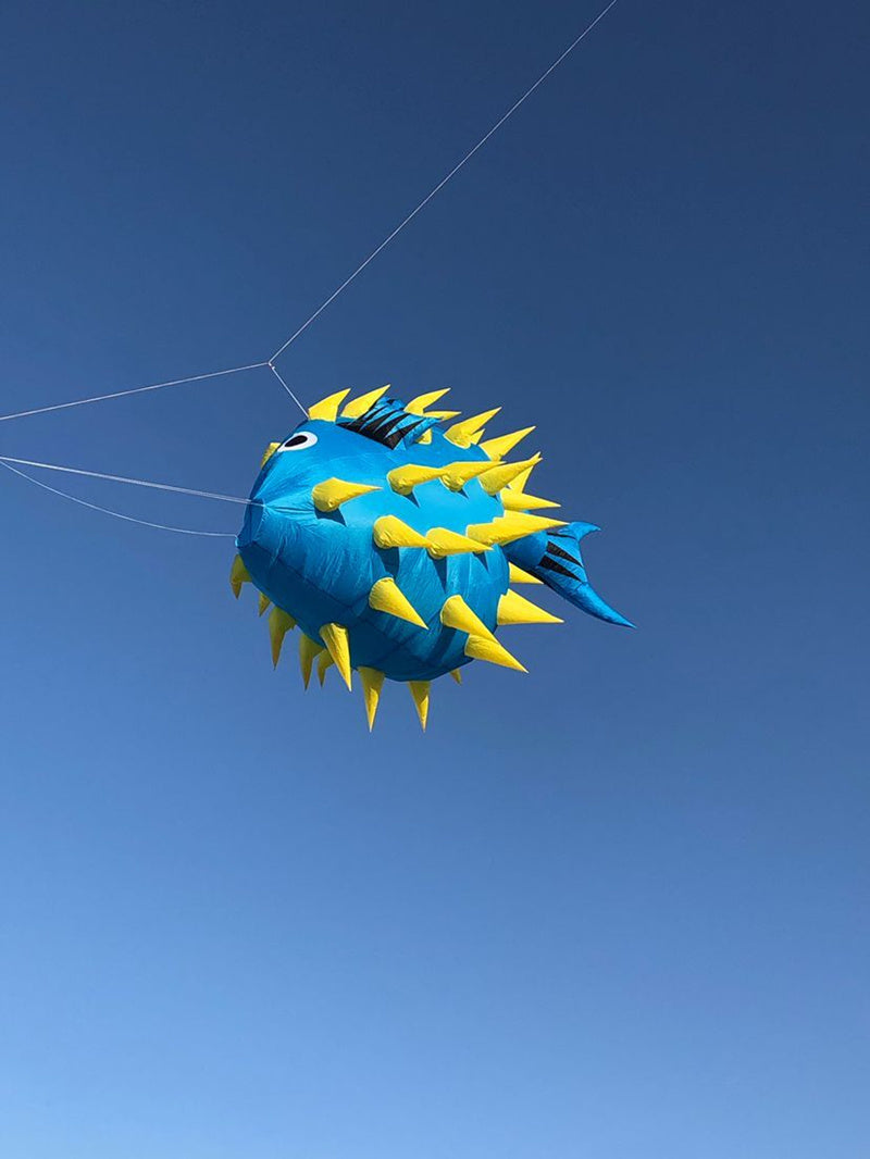free shipping puffer fish kite pendant flying outdoor toys wind kites for adults kite reel voar pipe parachute windsurf Smoking