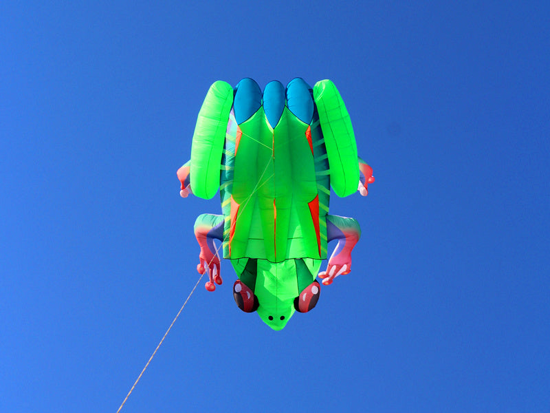 free shipping frog kite flying soft kite for adults kite line windsurf outdoor toys inflatable kite professional kite reel koi