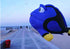 Free Shipping fish kites flying kites pendant kites windsocks outdoor fun toys kite line toy sports kite surfing fishing sling