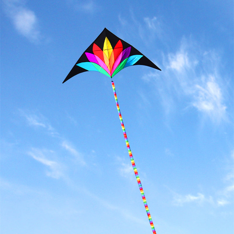free shipping 2m large rainbow delta kite with 10m tails flying line kids kites factory delta kites windsocks kite string reel