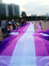 free shipping large octopus kite for adults soft kite professional kites factroy kiteboard power inflatable kites nylon wind air