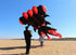 free shipping fish kite flying for adults kites goldfish kite sport professional kites large inflatable kite surf cerf parachute