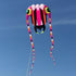 free shipping trilobites kite factory weifang big kite for adults soft kites inflatable kites octopus kite ikite jellyfish kites