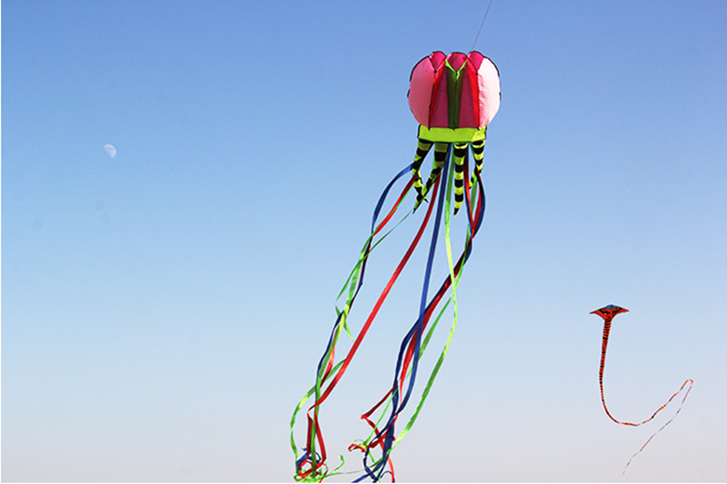 free shipping 8m jellyfish kites flying for adults kites line nylon kites factory professional paragliding inflatable show kites