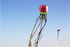 free shipping 8m jellyfish kites flying for adults kites line nylon kites factory professional paragliding inflatable show kites