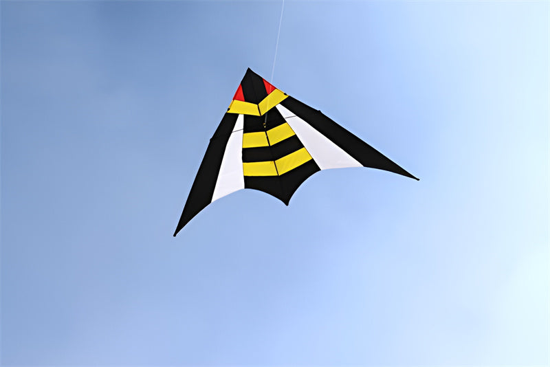 free shipping large delta kite flying nylon kite reel parachute cerf volant kevlar line eagle kiteboard kites for adults kites