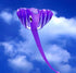 free shipping elephant kite flying soft giant kite reel nylon show kite professional kite a liner parachute windsurfing snake