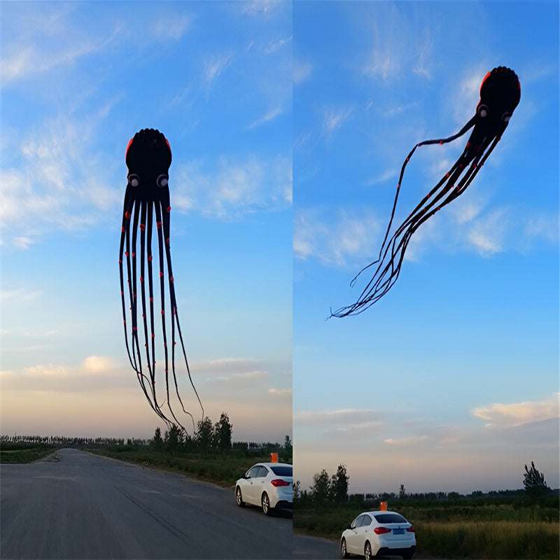free shipping walk in sky kite factory large kite flying soft kite for adults kite parachute professional kite windsock parapent