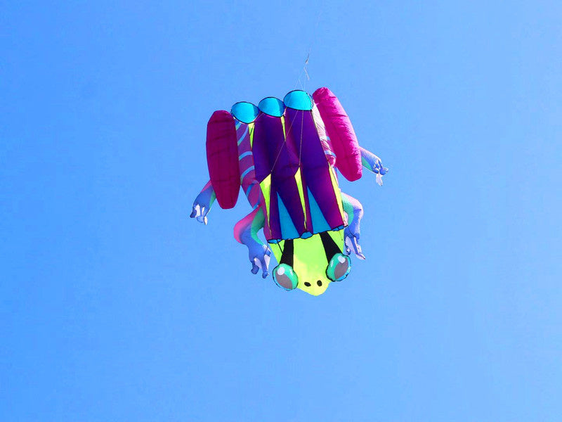 free shipping frog kite flying soft kite for adults kite line windsurf outdoor toys inflatable kite professional kite reel koi