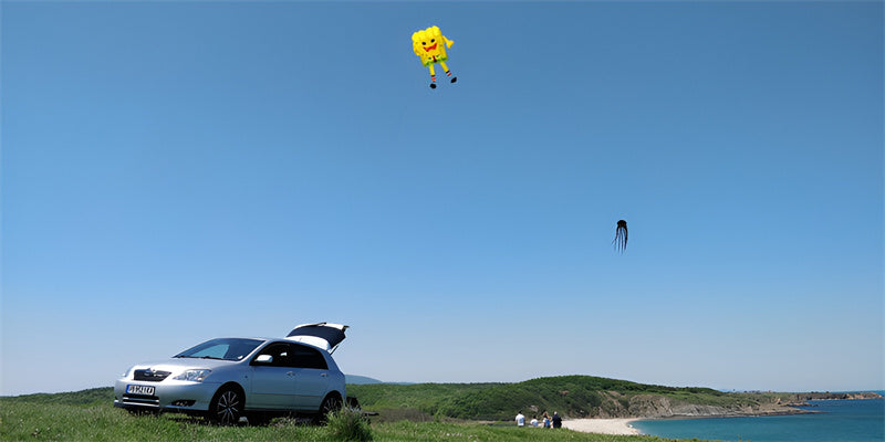 free shipping large pilot kite flying pendant show kite parachute kite professional kites and rays octopus kites inflatable kite