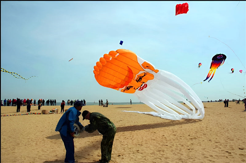 free shipping Chinese traditional longevity kite flying octopus kites flying soft kite walk in sky latawiec kite parachute ikite