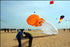 free shipping Chinese traditional longevity kite flying octopus kites flying soft kite walk in sky latawiec kite parachute ikite