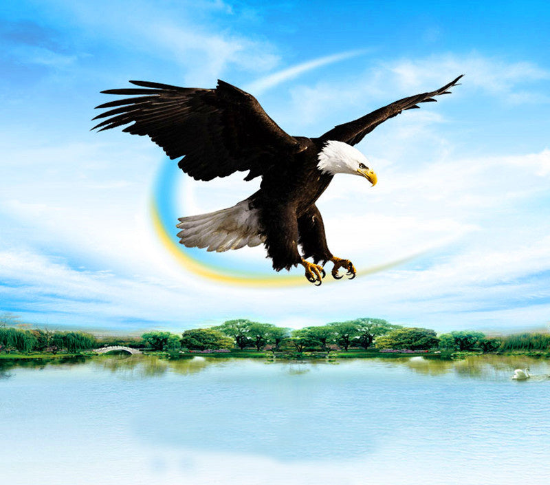 free shipping white eagle kite handle line kite surf for adults 3d kites kids flying toys windsocks bird kites sutherland sharks