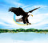 free shipping white eagle kite handle line kite surf for adults 3d kites kids flying toys windsocks bird kites sutherland sharks