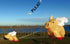 Free Shipping 3m Pig Kite Line Laundry Pendant Soft Inflatable Show Kite for Kite Festival 30D Ripstop Nylon with Bag