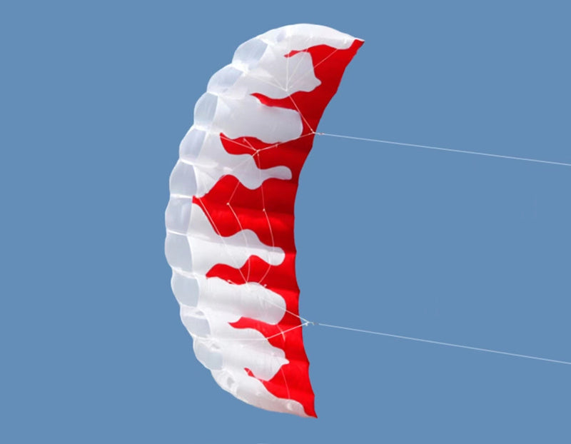 Free Shipping dual line stunt kites power kites flying for new beginner kite surf beach kites factory paragliding flying wing