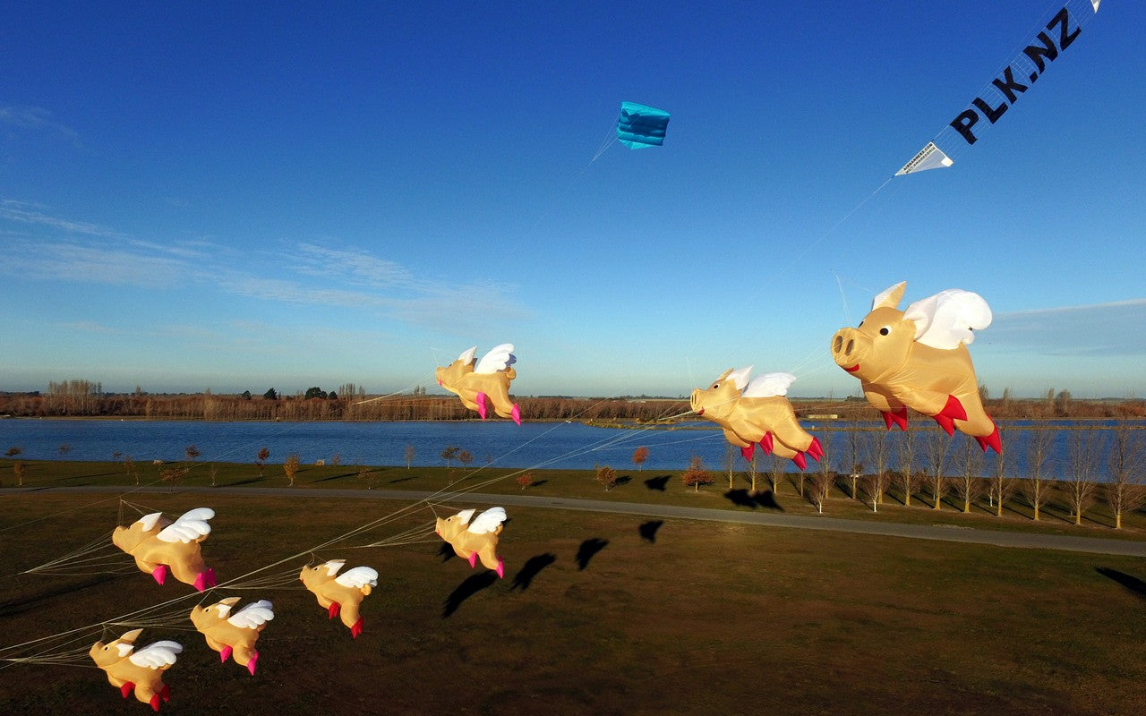 Free Shipping 3m Pig Kite Line Laundry Pendant Soft Inflatable Show Kite for Kite Festival 30D Ripstop Nylon with Bag