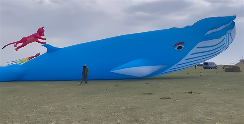 9m Pendant kite whale kite kites for adults outdoor toys Wind sock windsock inflatable kite street toys kite giant